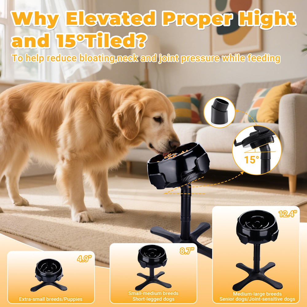 KMXASP adjustable three-height stand used by a range of dogs