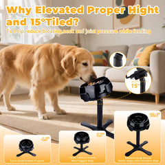 KMXASP adjustable three-height stand used by a range of dogs