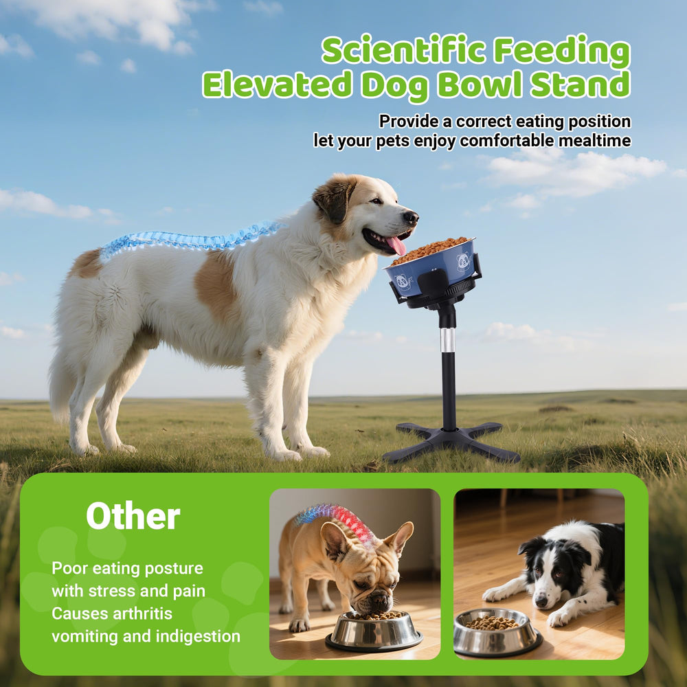 KMXASP durable, easy-clean stand designed for long-lasting use