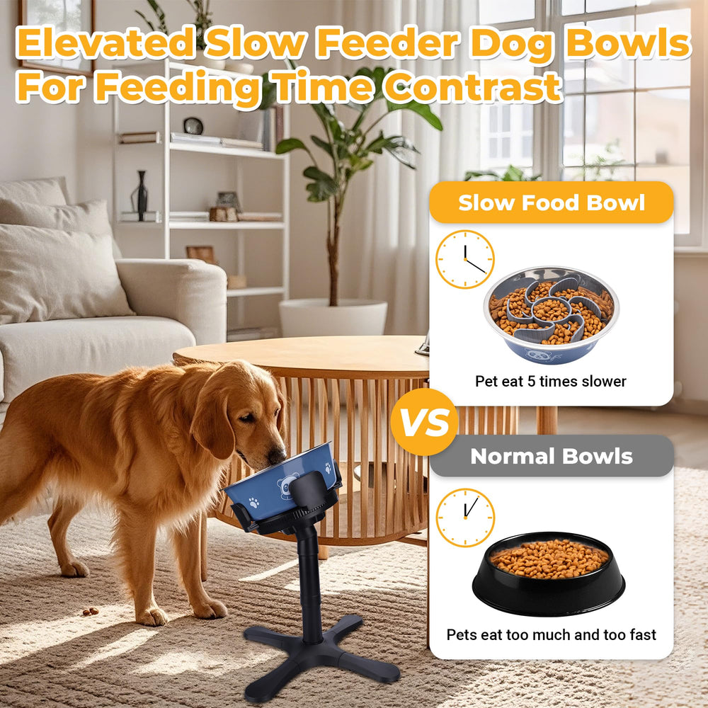 KMXASP maze-pattern slow feeder insert promotes measured eating