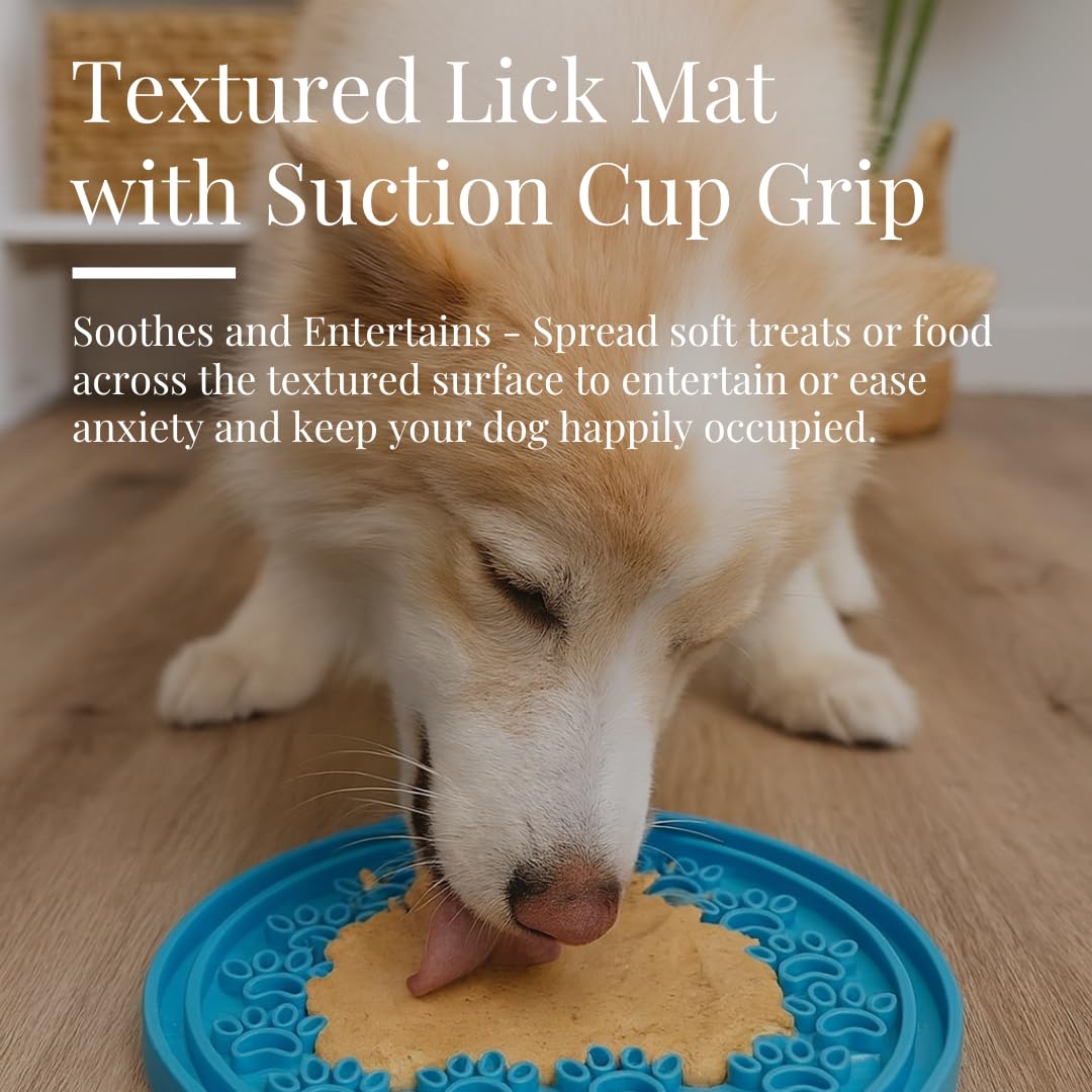 KNRV Commerce non-slip base keeps the bowl steady during meals.