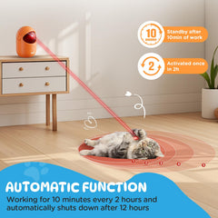 Koackl automatic cat toy timer mode display illustrating scheduling options