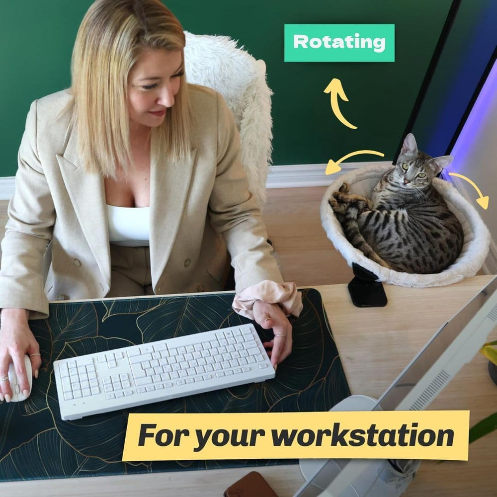 Kobuddy remote-work setup with cat nearby boosts focus and comfort.