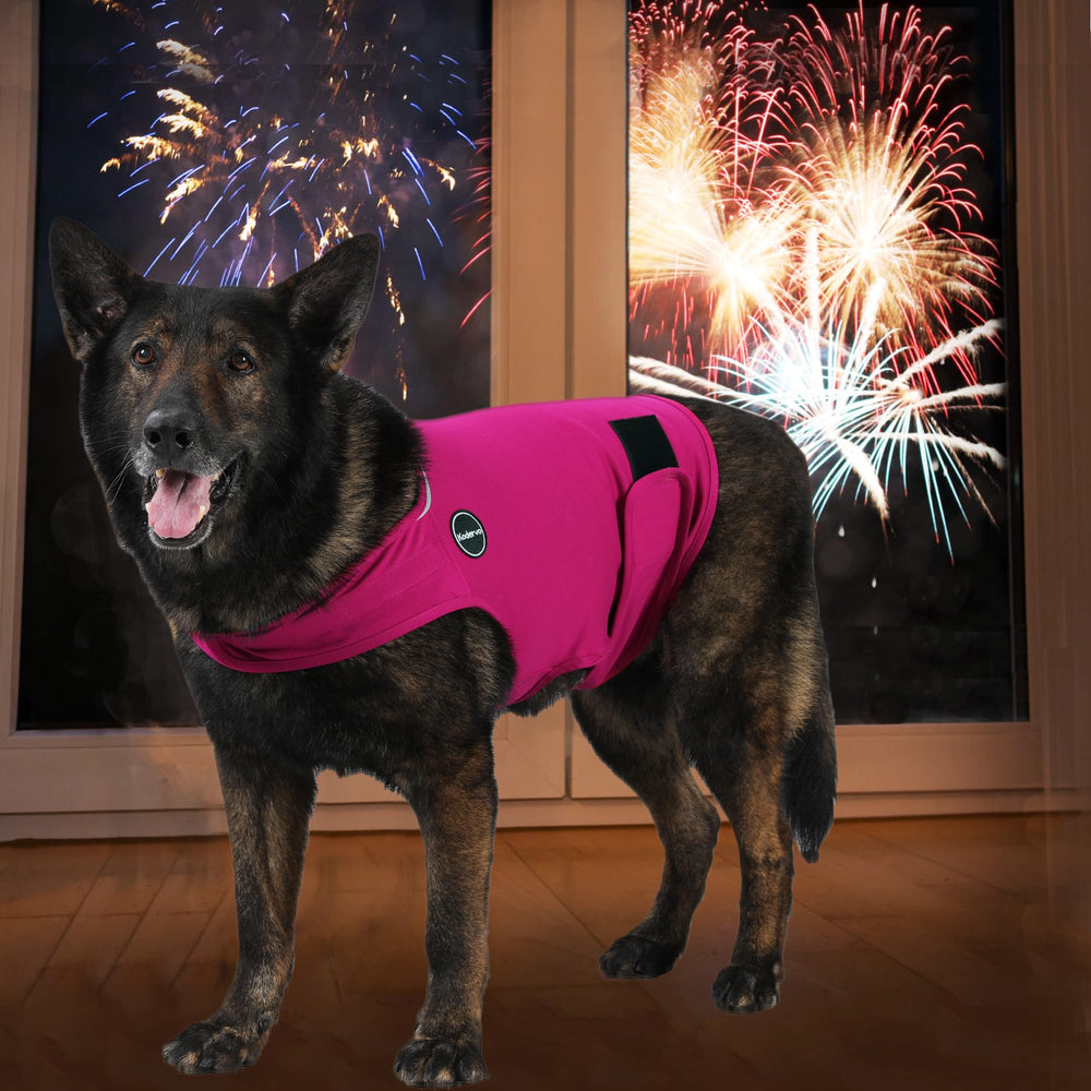 Kodervo dog anxiety jacket in rainy night setting with safety features