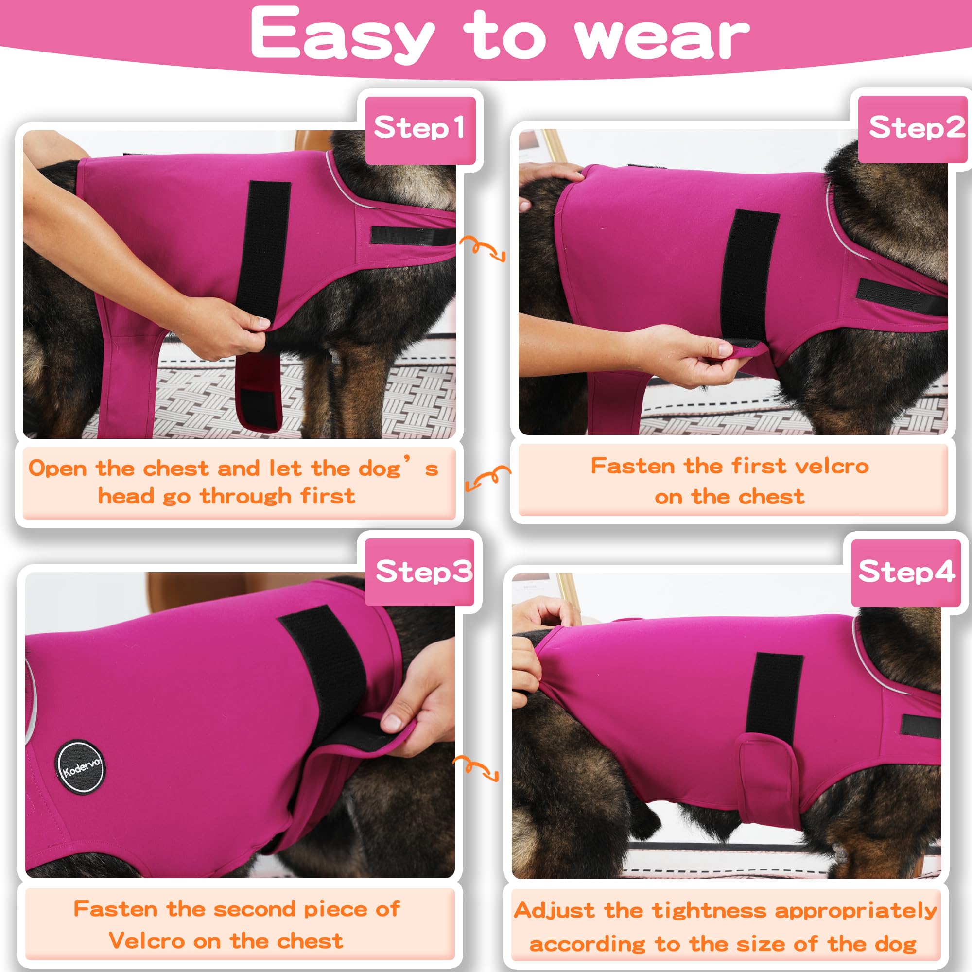 Kodervo dog anxiety jacket worn by dog during casual stroll