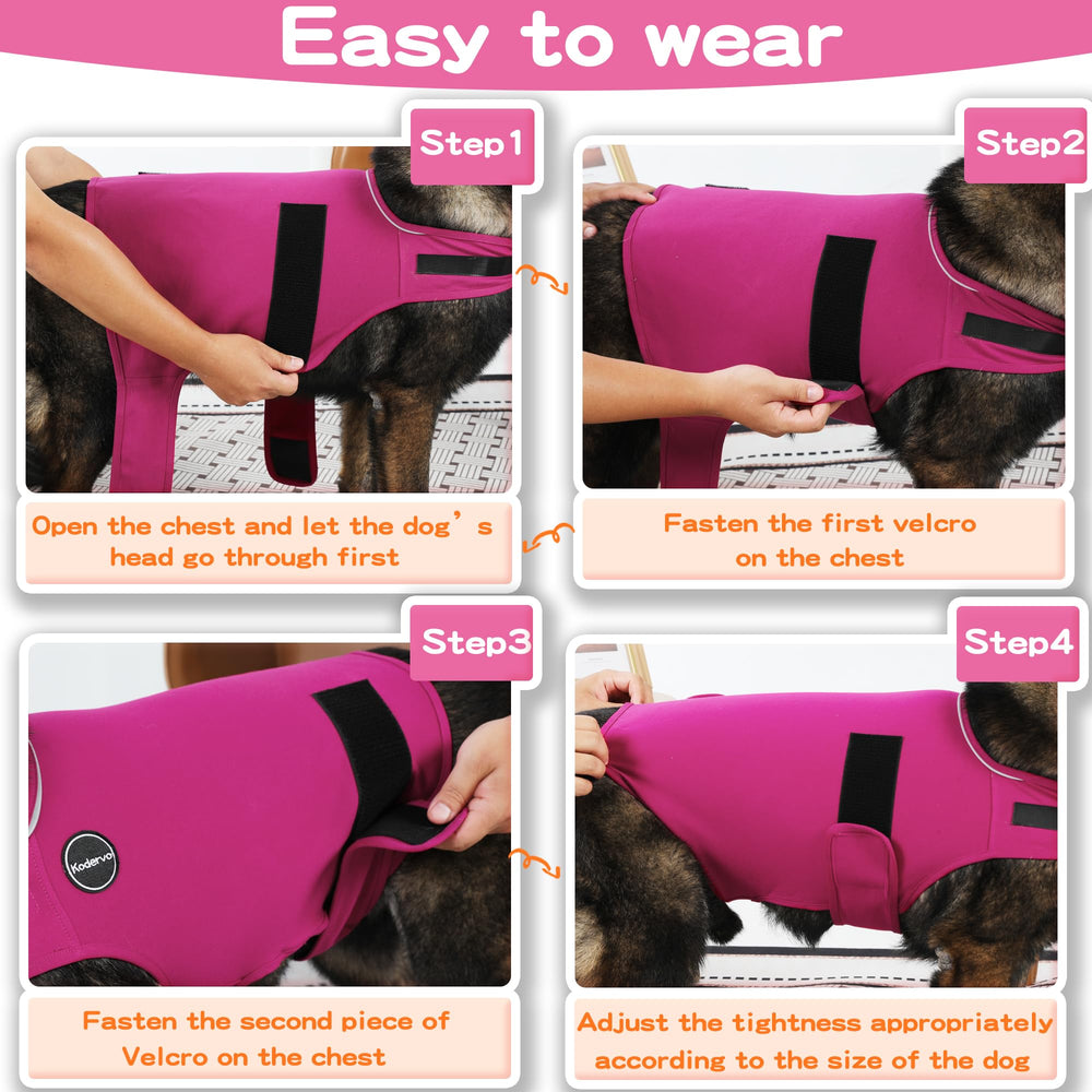 Kodervo dog anxiety jacket worn by dog during casual stroll