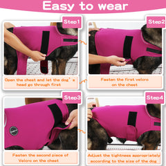 Kodervo dog anxiety jacket worn by dog during casual stroll