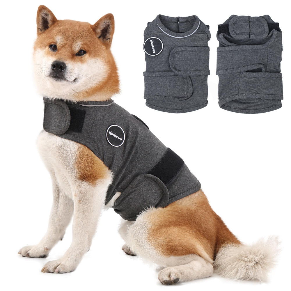 Kodervo dog anxiety jacket worn on a calm-wrapped dog, promoting security