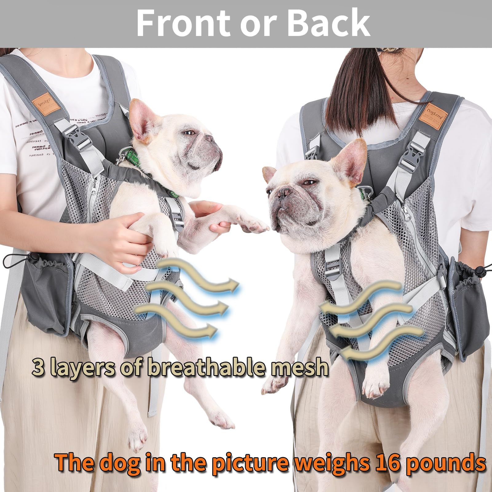 Kodervo internal safety leash keeps your dog secure inside