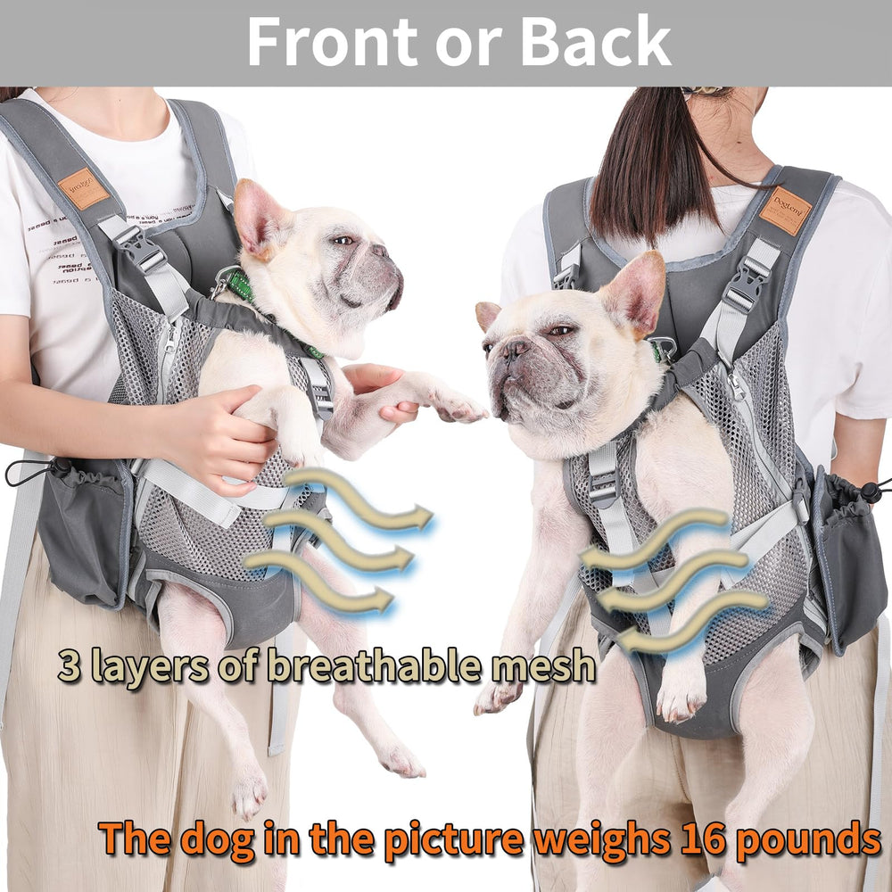Kodervo internal safety leash keeps your dog secure inside