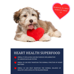 Kodiak Naturals oil bottle pour demonstrates easy drizzle-free dosing for pets.