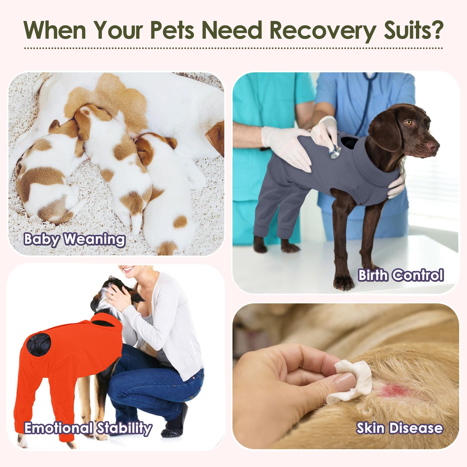 KOESON dog recovery sleeve spay-neuter-use supports rear-leg protection for post-surgery care.