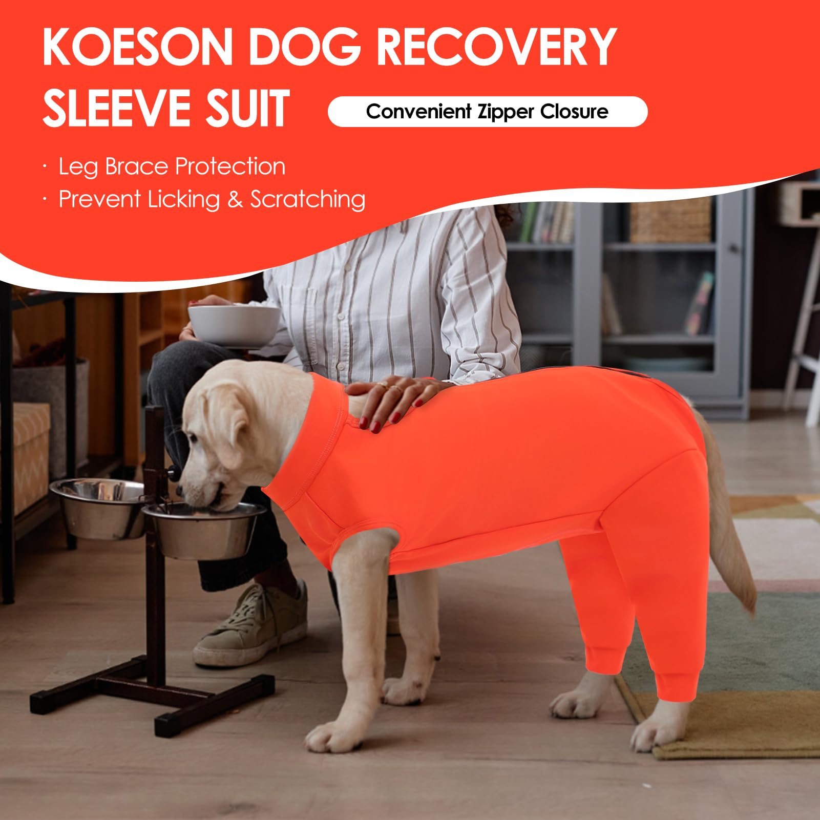 KOESON recovery suit potty opening facilitates bathroom breaks for dogs.