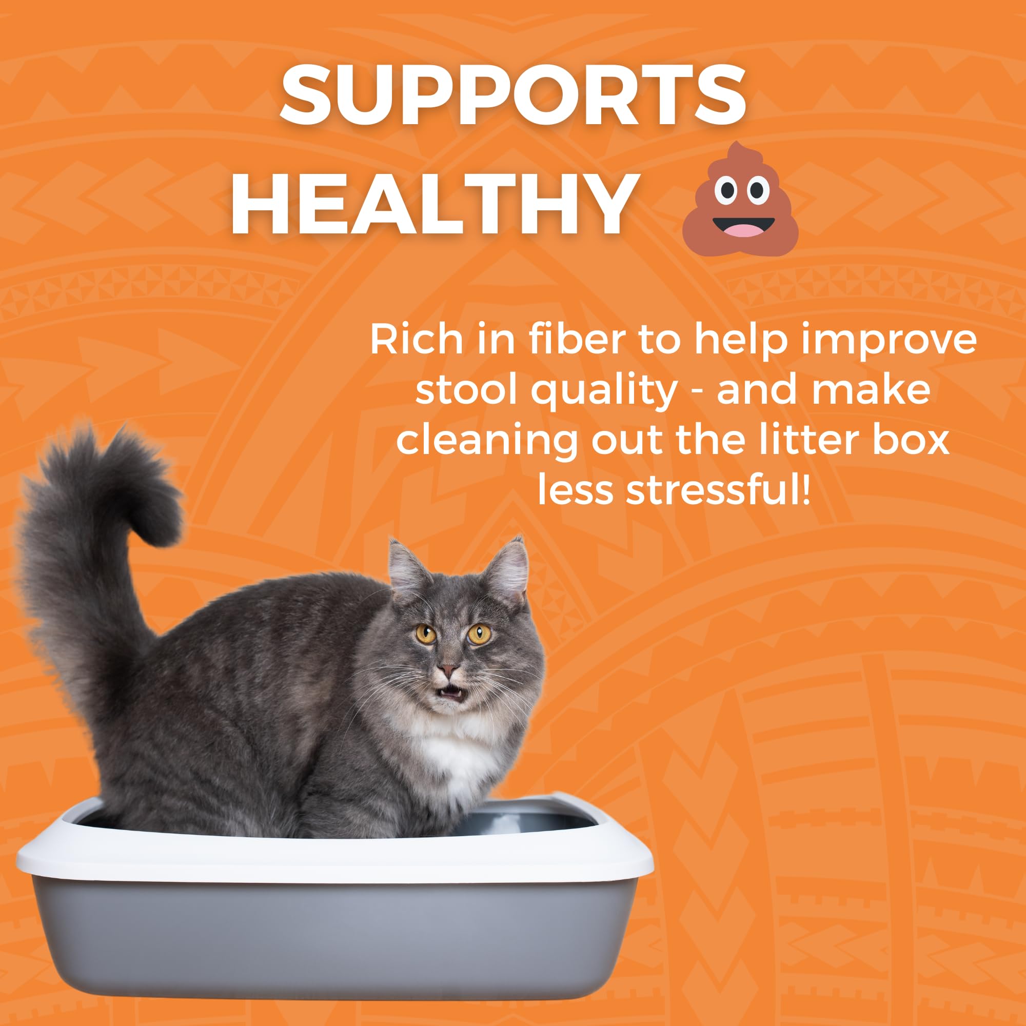 KOHA Bland Diet graphic demonstrates digestive support during flare-ups.