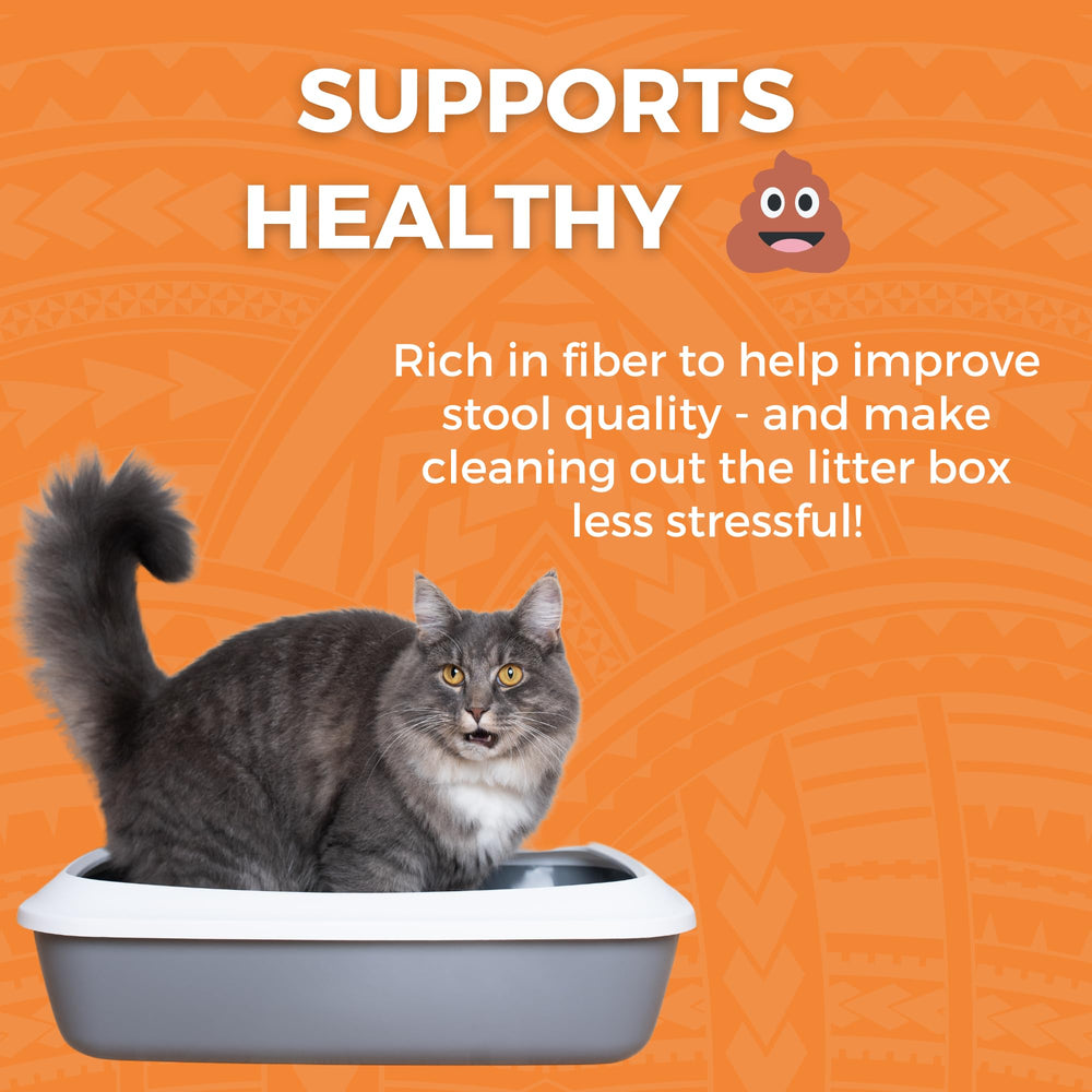 KOHA Bland Diet graphic demonstrates digestive support during flare-ups.
