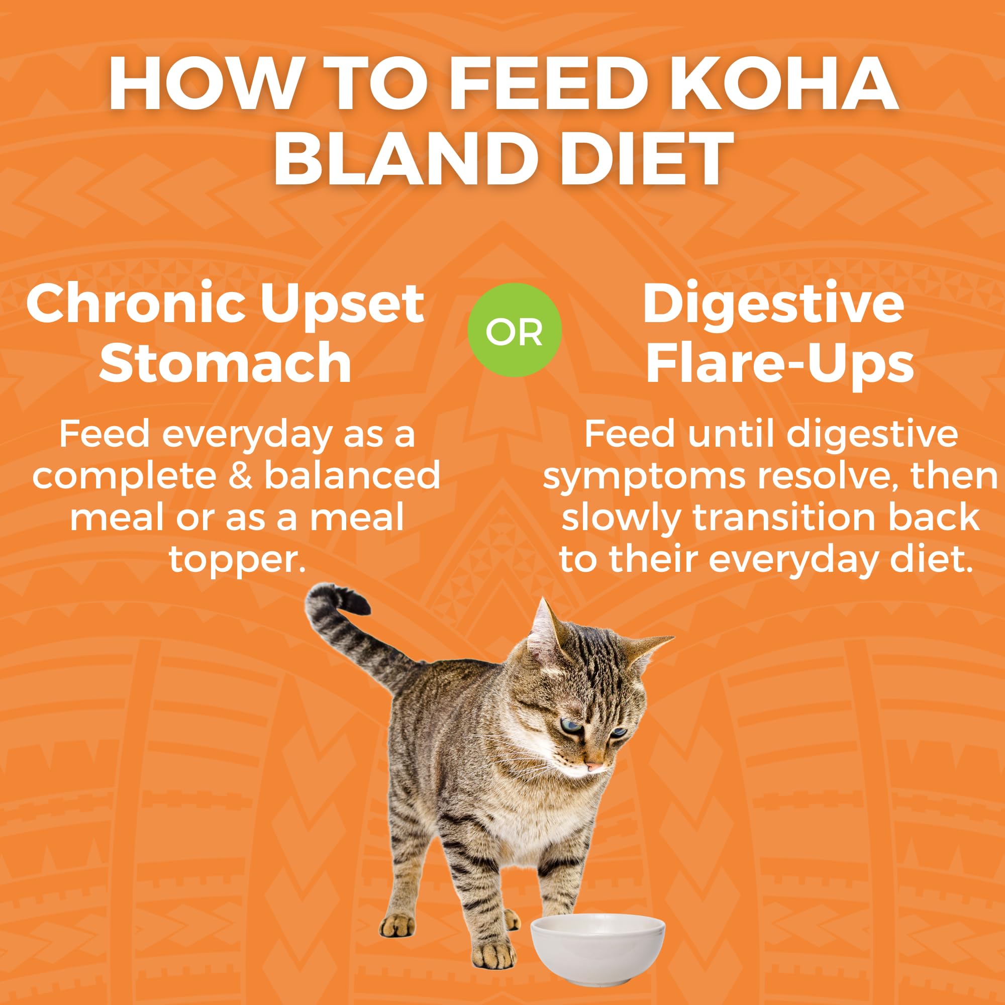 KOHA Bland Diet serving bowl image presents a convenient, ready-to-serve mealtime solution.