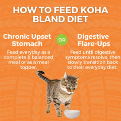 KOHA Bland Diet serving bowl image presents a convenient, ready-to-serve mealtime solution.