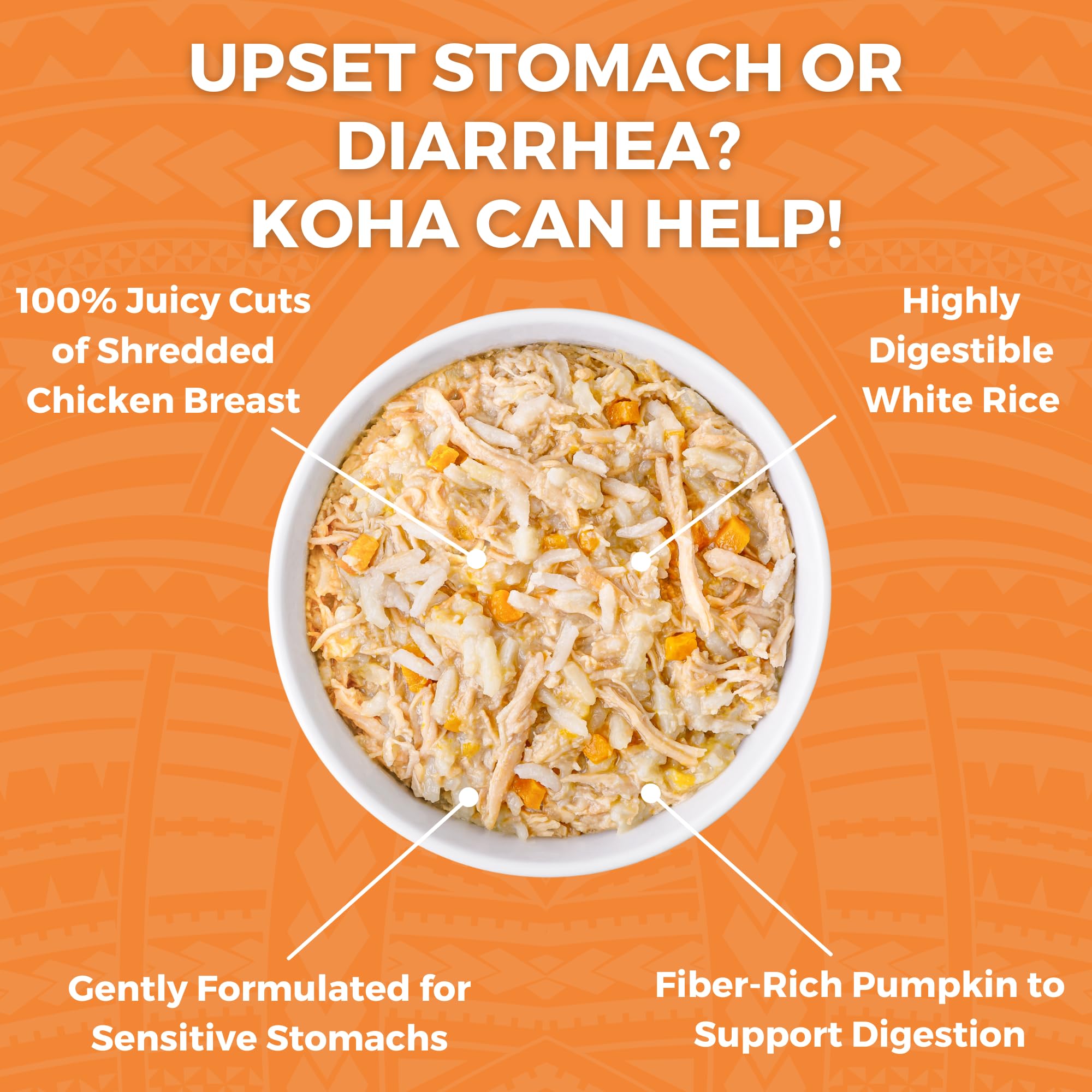 KOHA Bland Diet wet food texture with chicken chunks and rice supports easy digestion.