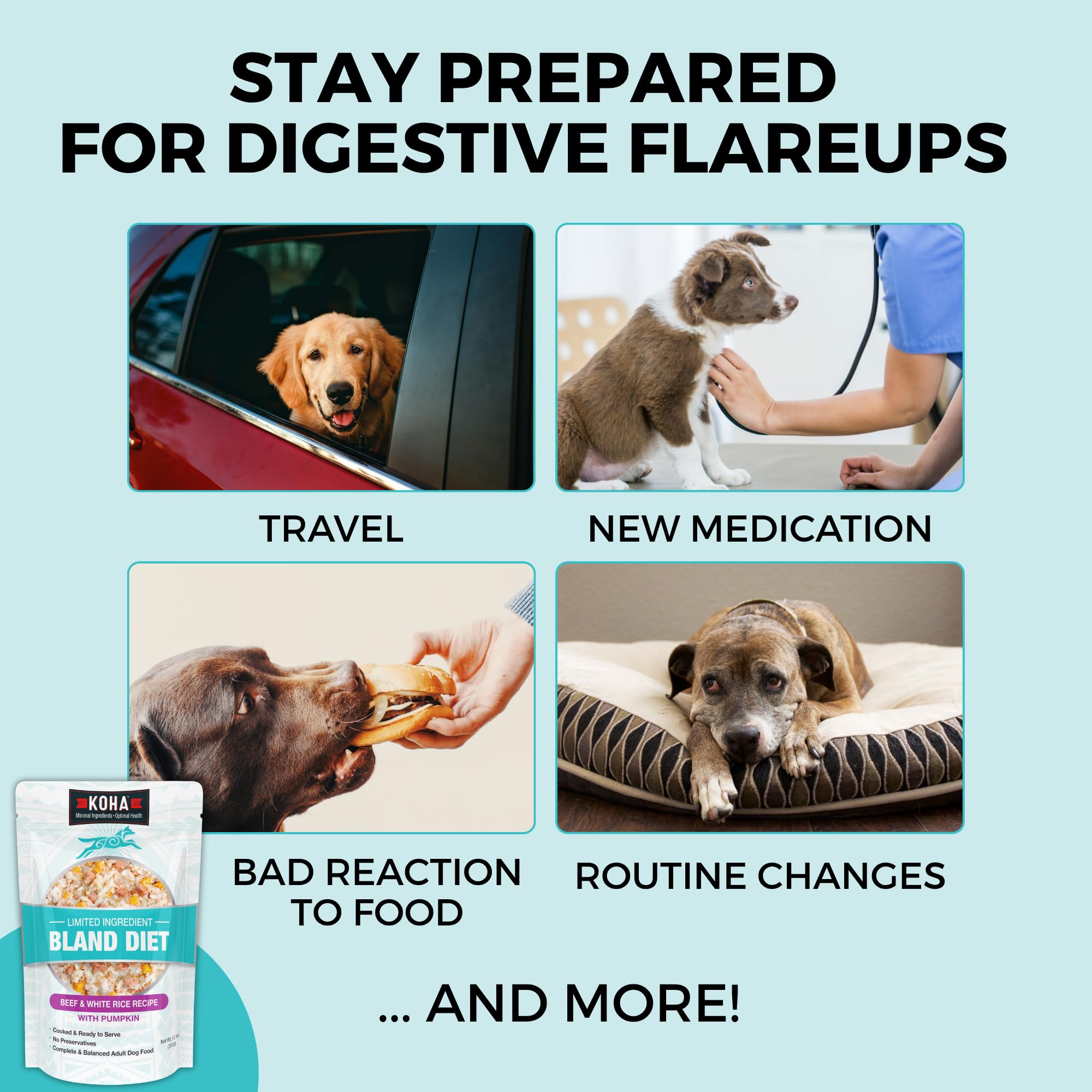 KOHA Bland Diet daily-feed demonstrates flexibility as a complete meal or topper.