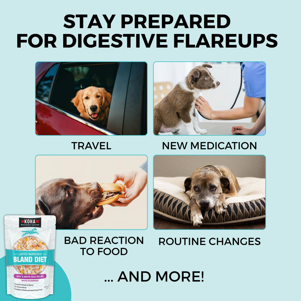 KOHA Bland Diet daily-feed demonstrates flexibility as a complete meal or topper.