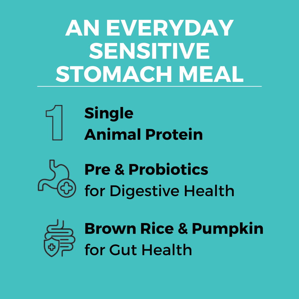 KOHA bone-broth-coated-kibble image highlights tasty bite with gut-friendly nutrients.