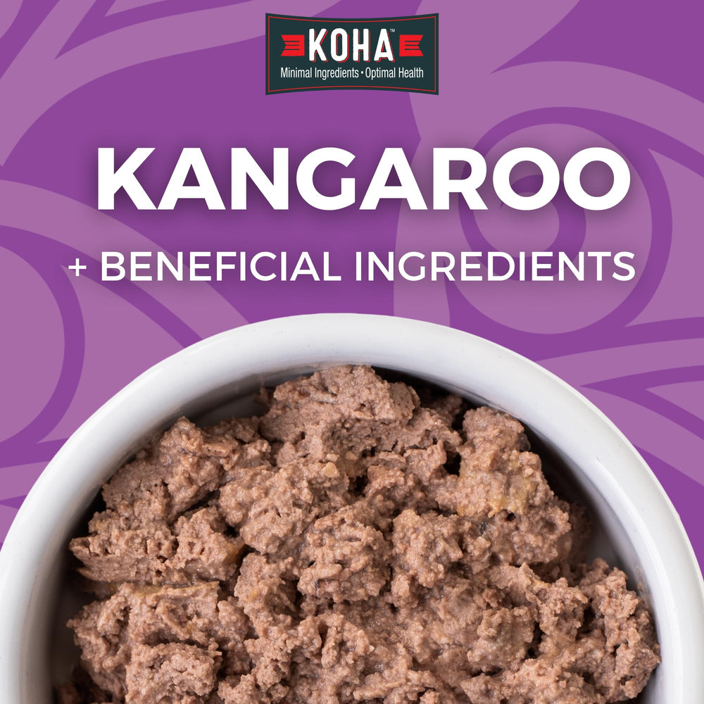 KOHA Kangaroo Paté served in a bowl showing palatable moisture-rich meal.