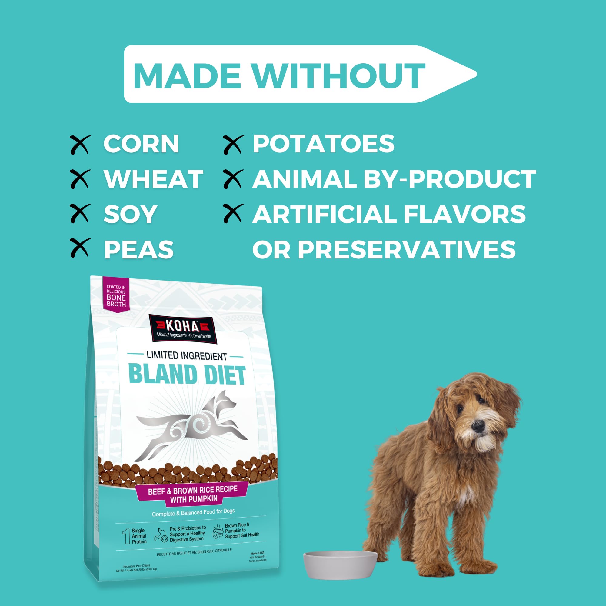 KOHA prebiotics-probiotics-close-up highlights digestive-supporting ingredients for a healthy gut.