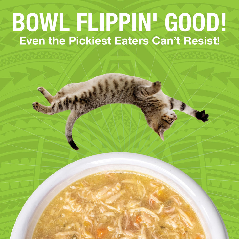 KOHA Pure Shreds serving bowl with broth, appealing mealtime for picky eaters