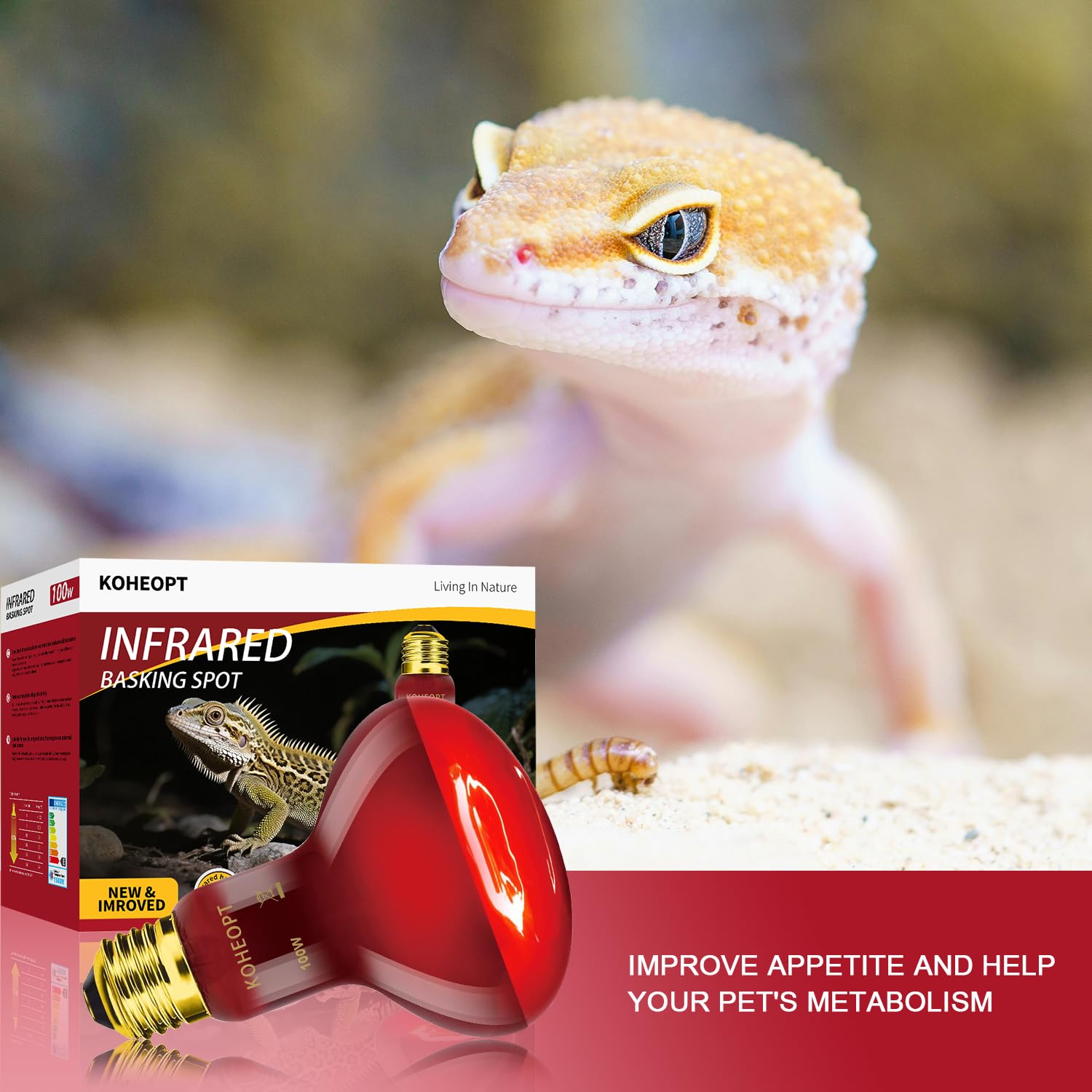 KOHEOPT reptile terrarium heat emitter in action for ambient warmth.