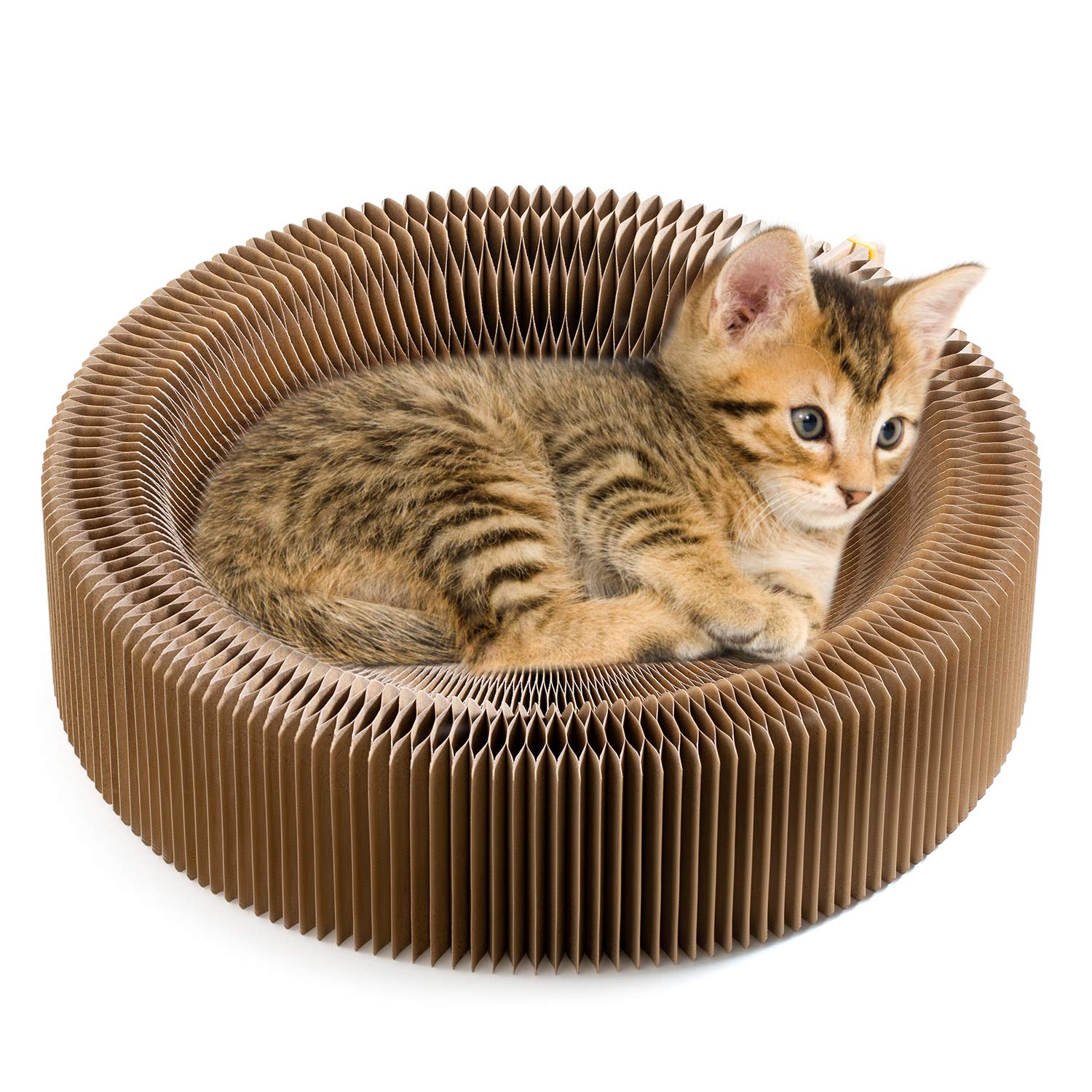 Koimsec rascador-gato colapsable con sillon redondo para descanso y juego