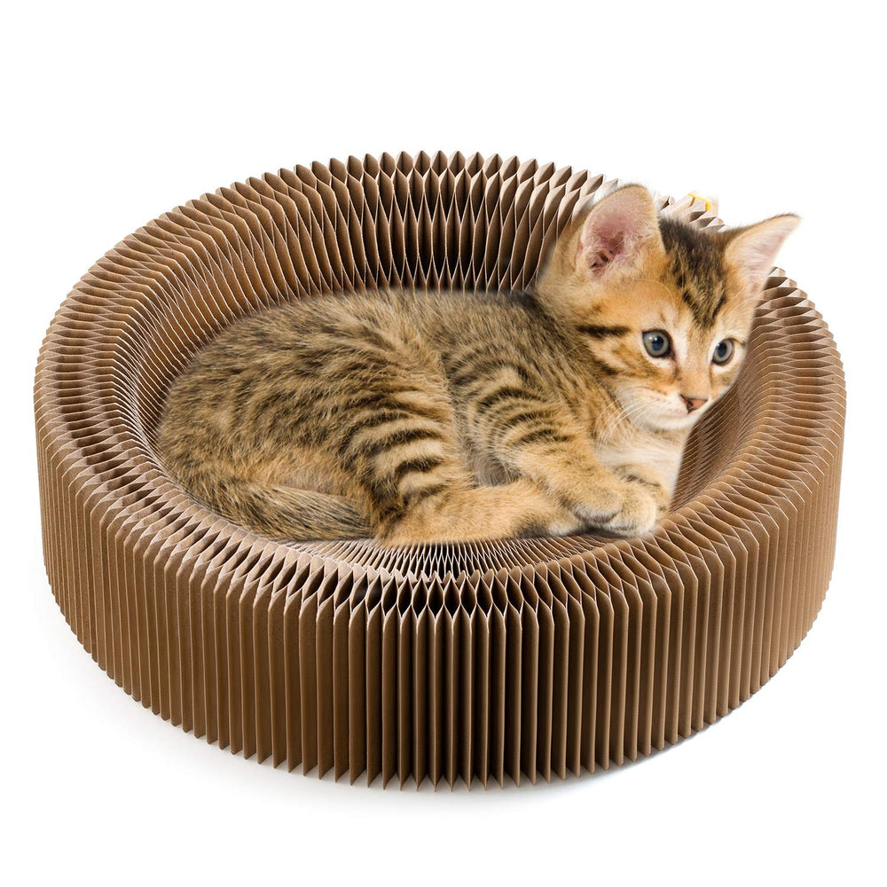 Koimsec rascador-gato colapsable con sillon redondo para descanso y juego
