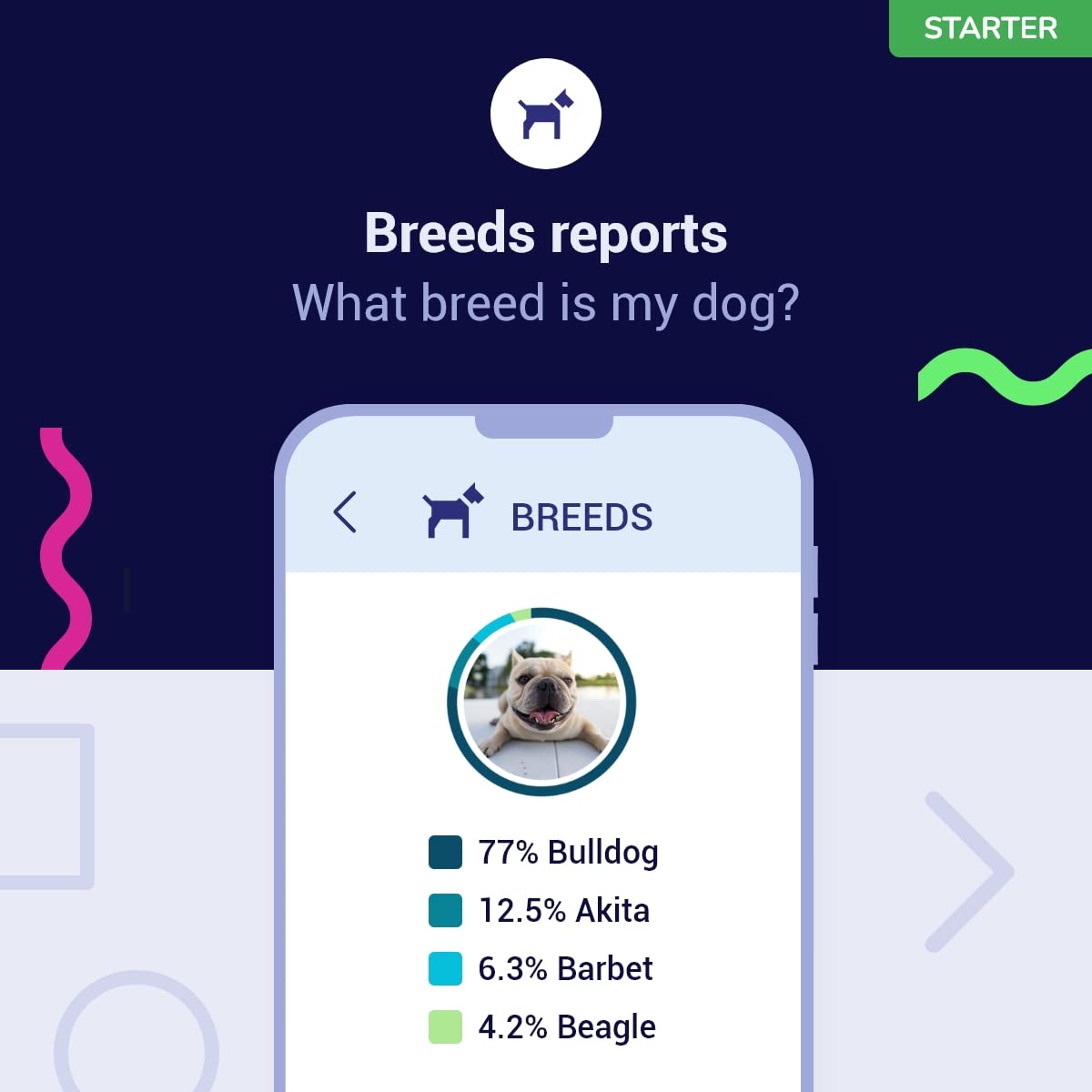 Koko Genetics breed composition chart visualizes 415+ breeds for your dog's mix.