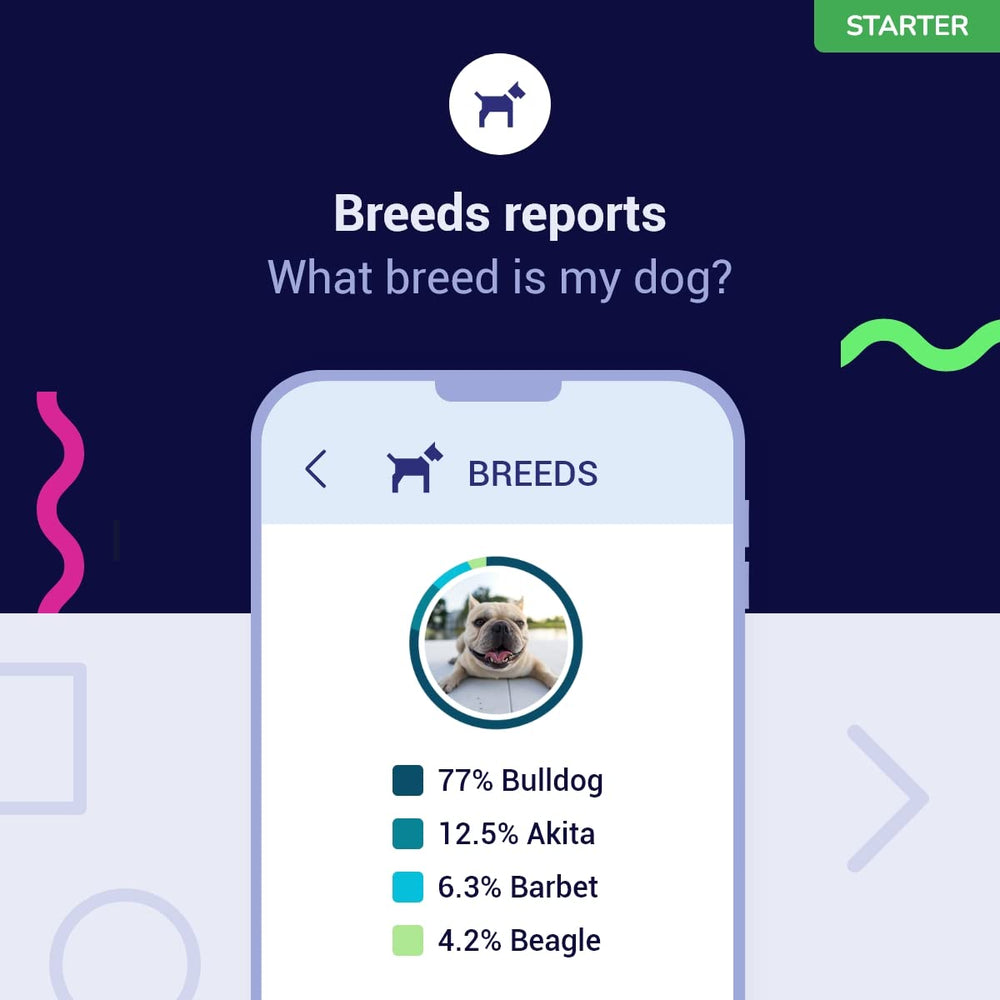 Koko Genetics breed composition chart visualizes 415+ breeds for your dog's mix.