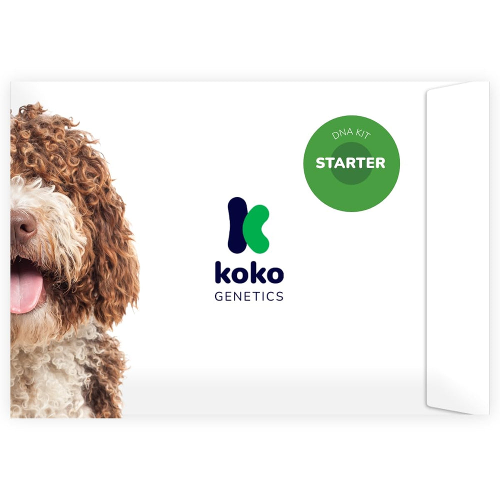 Koko Genetics Starter DNA Test packaging shows premium at-home dog testing.