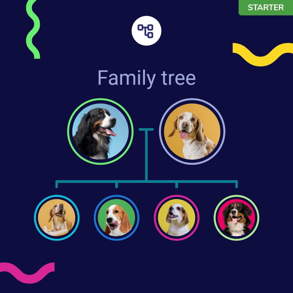 Koko Genetics privacy and encryption badge highlights secure dog data.