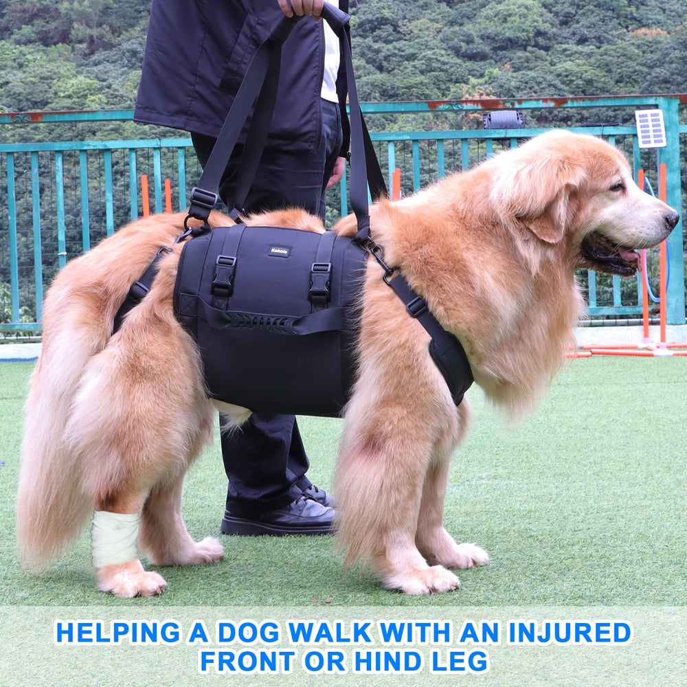 Kokoie dog carry sling back view demonstrates stability on stairs.