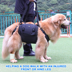 Kokoie dog carry sling back view demonstrates stability on stairs.