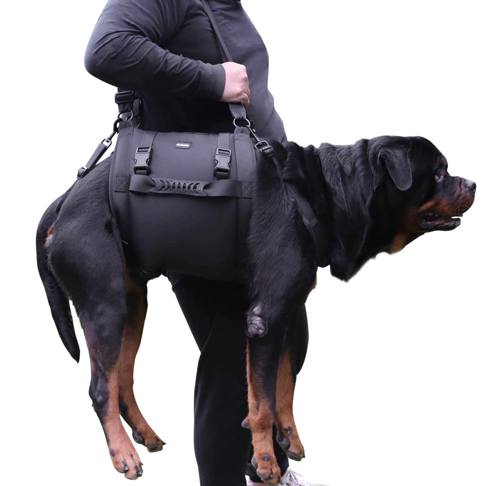 Kokoie dog carry sling front view shows gentle lift for elderly dogs.