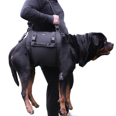 Kokoie dog carry sling front view shows gentle lift for elderly dogs.