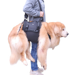 Kokoie dog carry sling front view supports mobility for senior dogs.