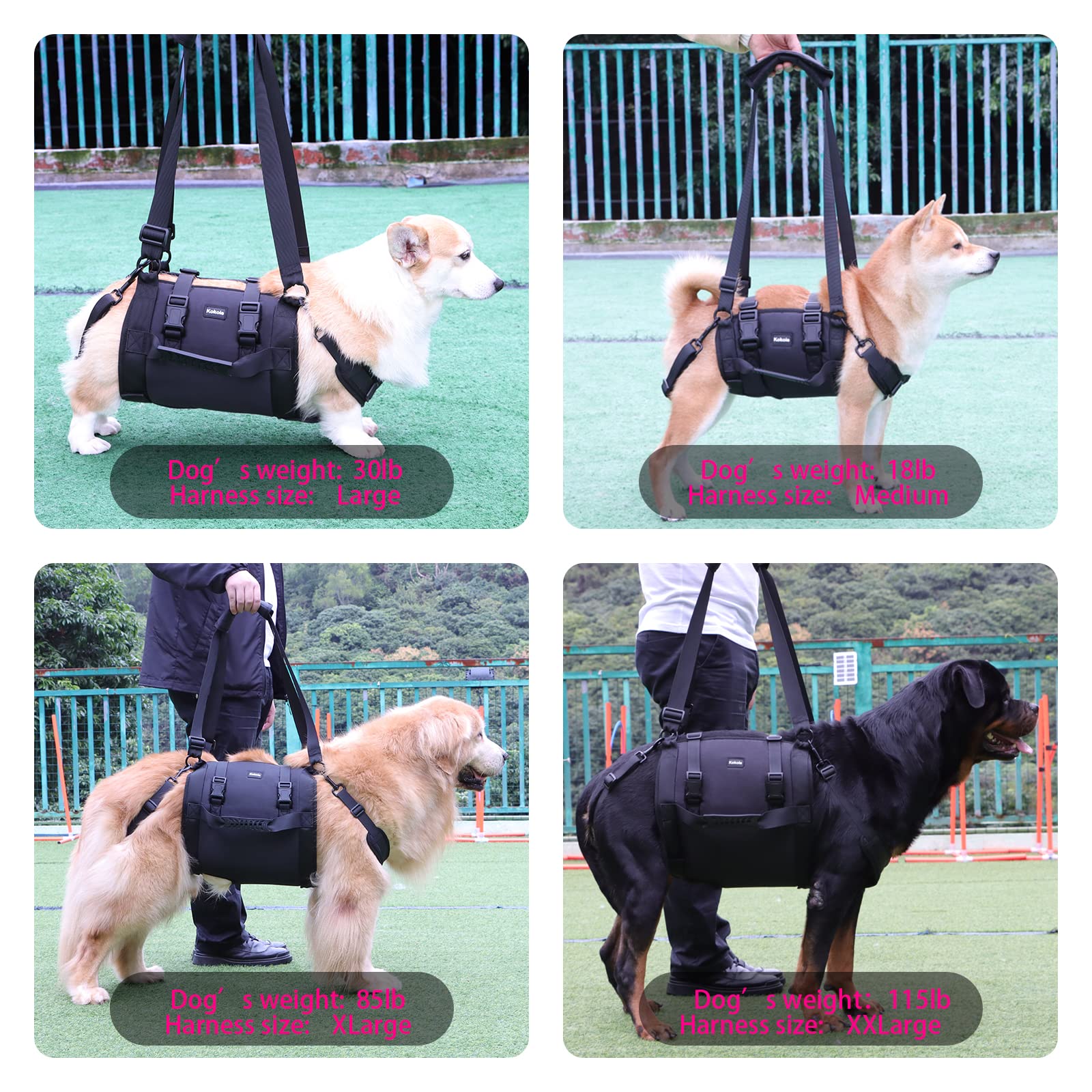 Kokoie dog carry sling during stairs use shows safe elevation and grip.