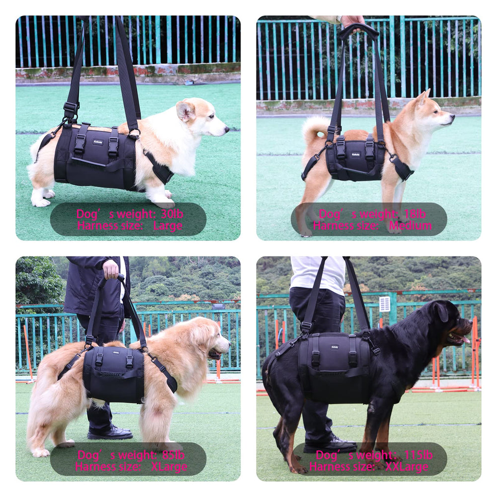 Kokoie dog carry sling during stairs use shows safe elevation and grip.