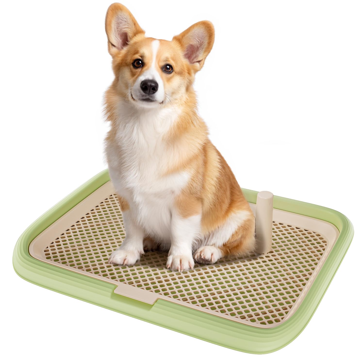 KOLA PANDA dog potty tray front view shows large training area for puppies