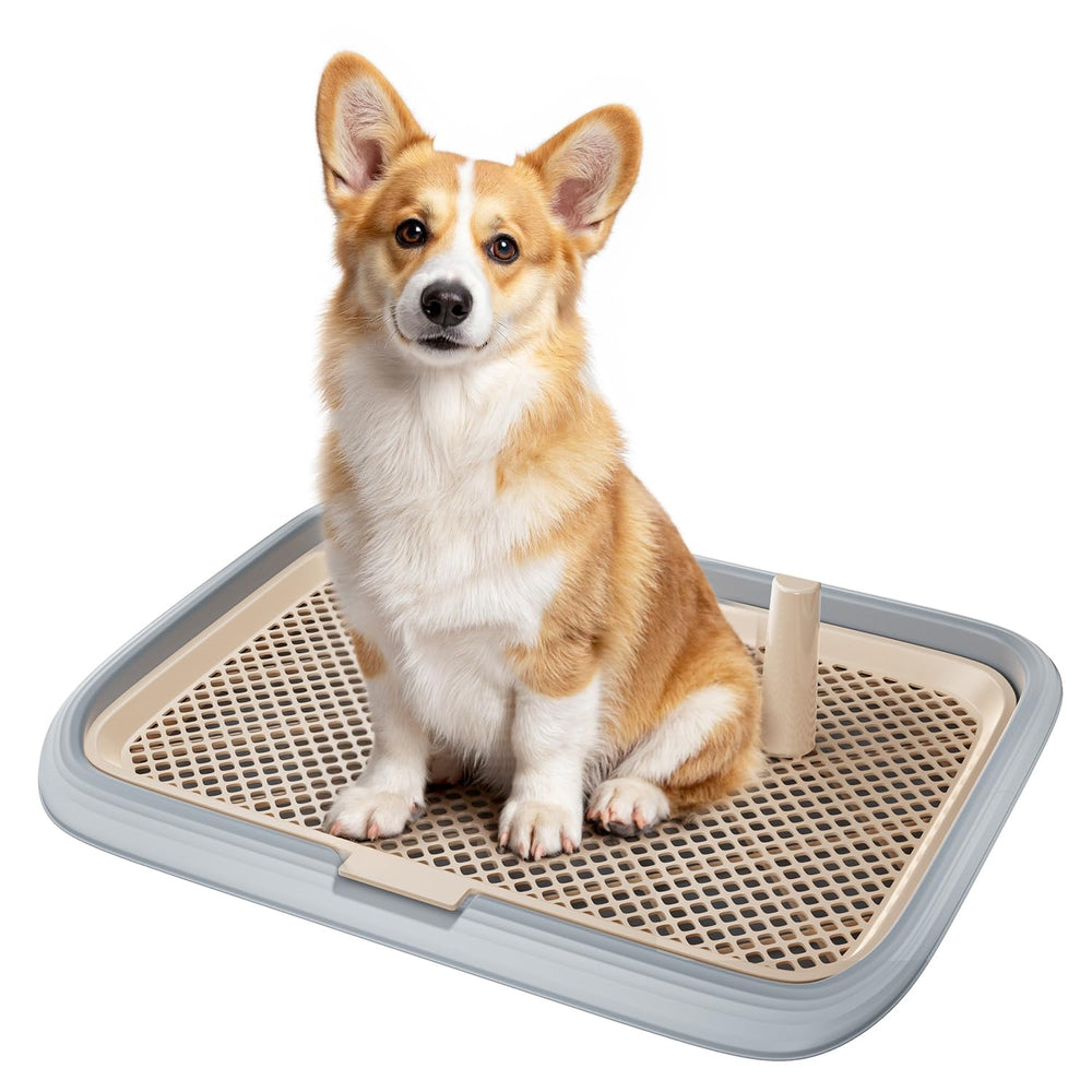 KOLA PANDA dog potty tray large-area setup; keeps training pads secure for mess-free house training.