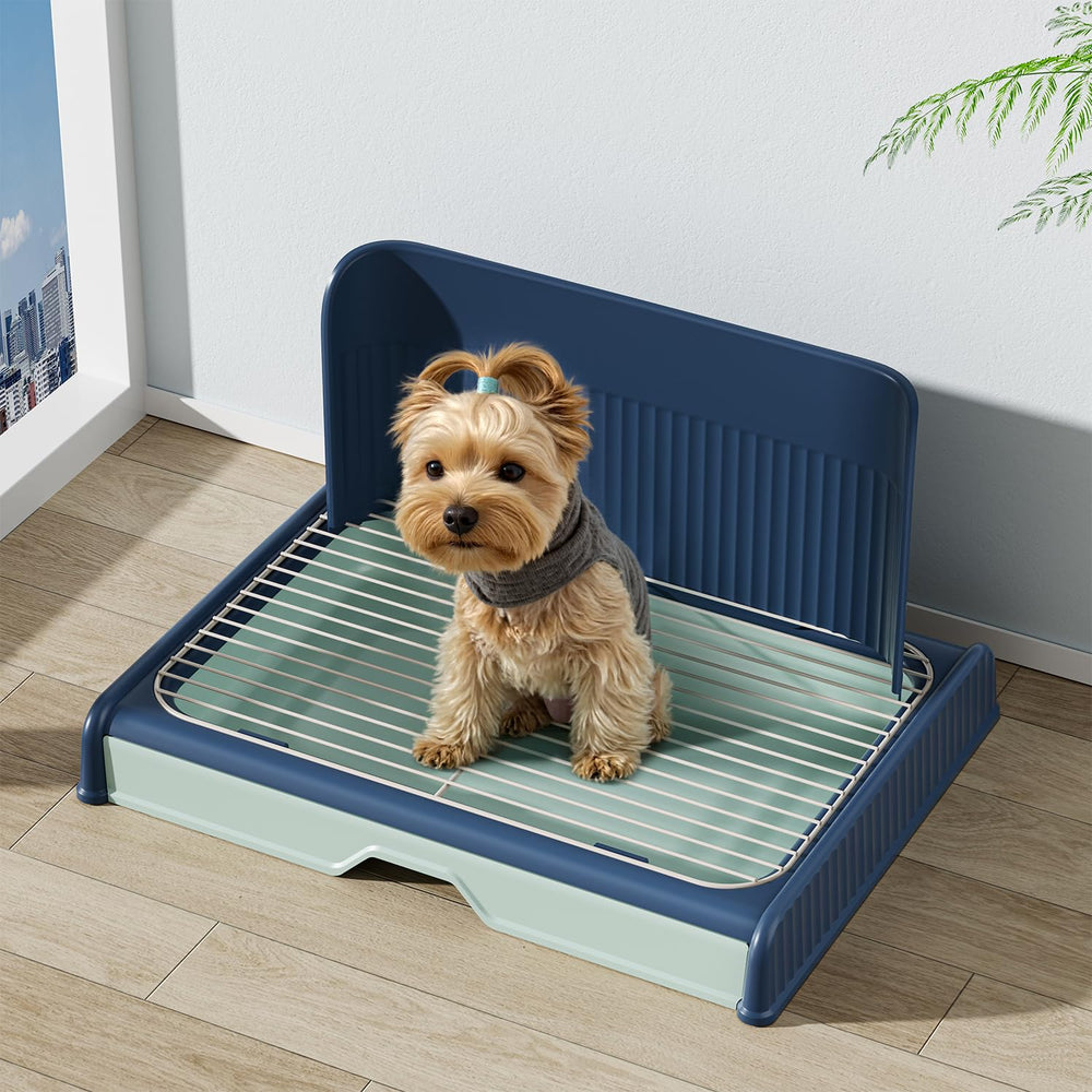 KOLA PANDA edge-safe design prevents injuries while pets move inside.