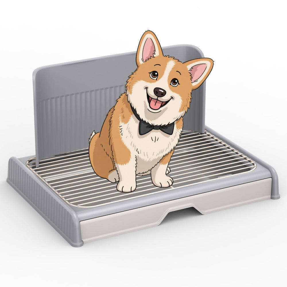 KOLA PANDA upgrade dog potty tray with high wall reduces indoor paw mess.