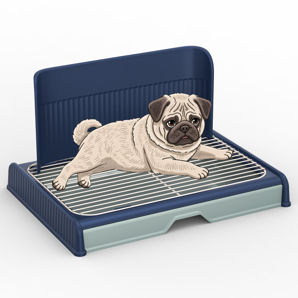 KOLA PANDA upgrade dog potty tray with high wall blue demonstrating containment for cleaner indoor spaces