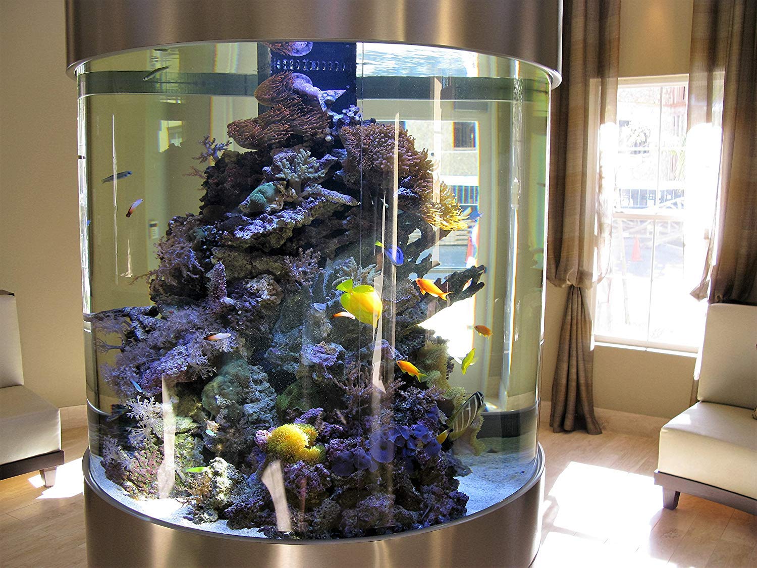 Kolar Labs Crystal Cal charcoal reduces odors and colors in tanks