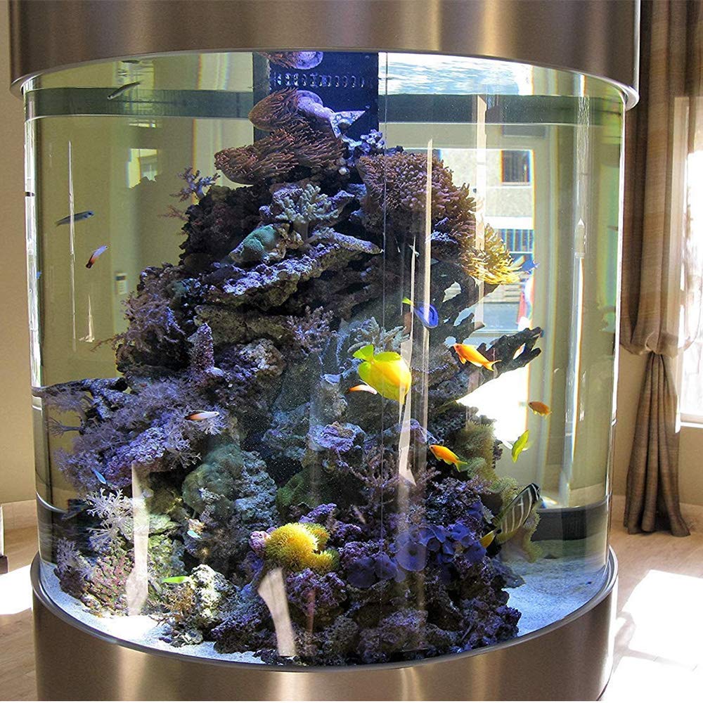 Kolar Labs GFO HC reef tank scene highlighting improved phosphate control