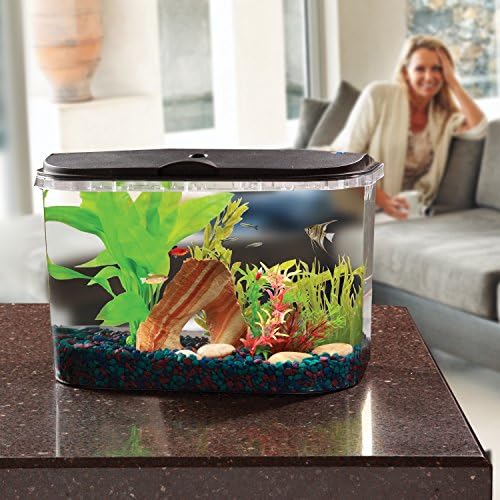 Koller Products Panaview compact dimensions 16.5 by 10 by 11.8 inches.